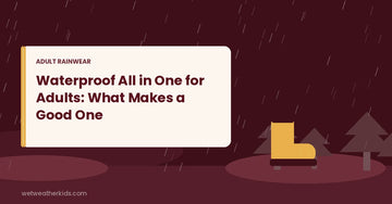 Waterproof All in One for Adults: What Makes a Good One